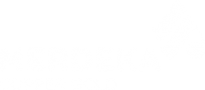 Company-logo