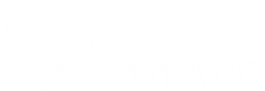 Company-logo